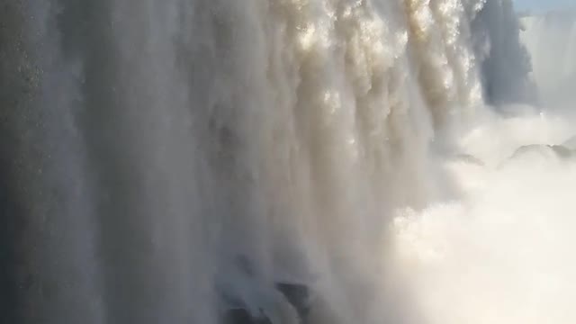 Saturnia nature