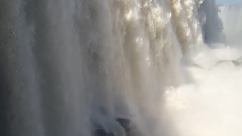 Saturnia nature