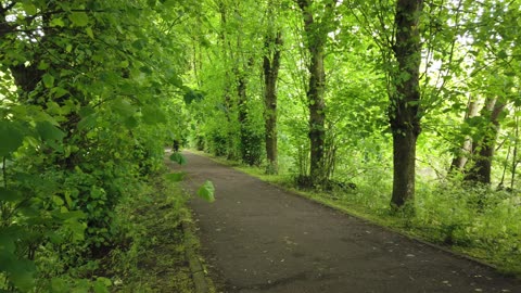 "stay high" Burton Upon Trent UK