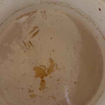 The Future Will Bring Joy