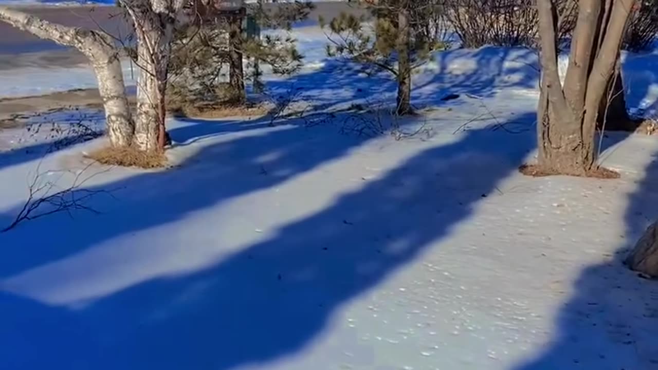 wonderful morning