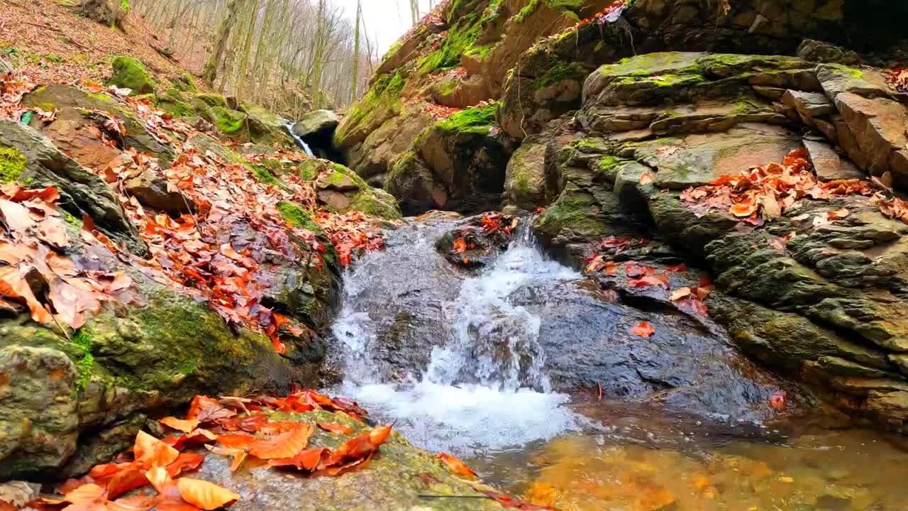 Soft Piano With Water Sounds for Stress Relief - Calm Music for Meditation, 4k water Relaxing Music