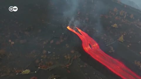 La Palma volcano intensifies, causes earthquakes nearby | DW News