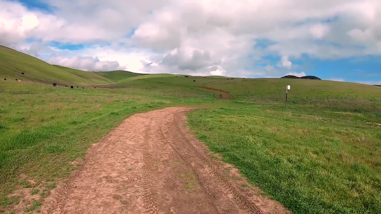 THIS IS THE ATMOSPHERE OF A VILLAGE IN AMERICA on a Cattle Farm