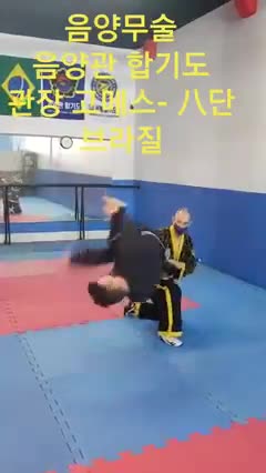 Hapkido