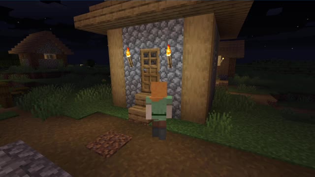 Minecraft vanilla skin version 1.17.1_ Shorts_2nd_Outting_12