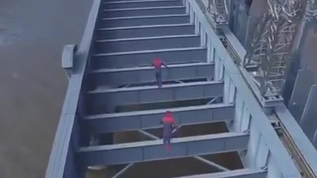 Display board Spider-Man