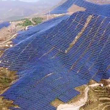 How Many Habitats Were Destroyed for These Inefficient Solar Farms? Not So 'Clean' or 'Green'