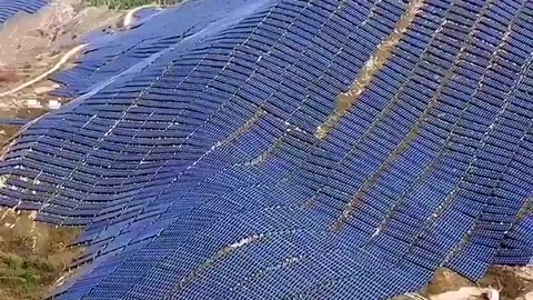How Many Habitats Were Destroyed for These Inefficient Solar Farms? Not So 'Clean' or 'Green'