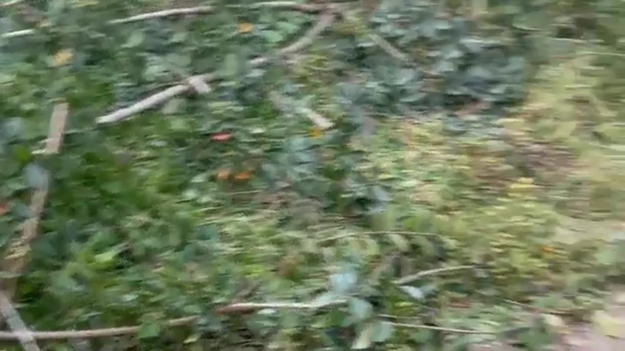 Mini Chainsaw Review