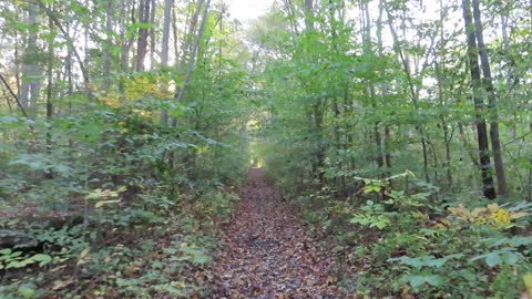 Hiking in Chester County Pennsylvania