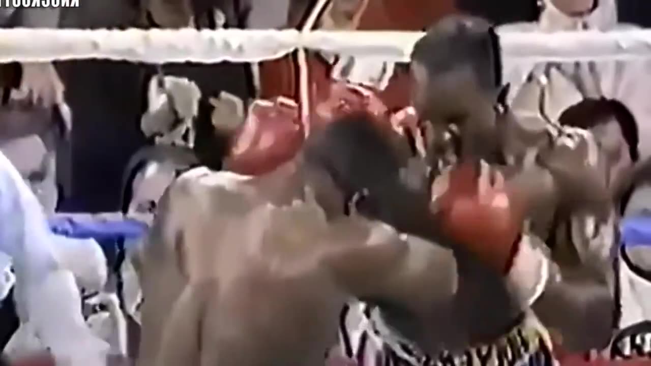 boxing latest fight video Compilation part 2