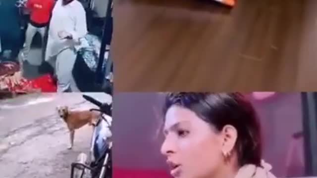 Girl vary Funny song