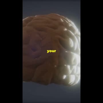 Boost Your Brain with Diet! 🧠🍎