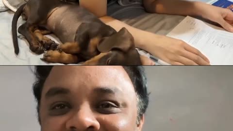 Dog Love