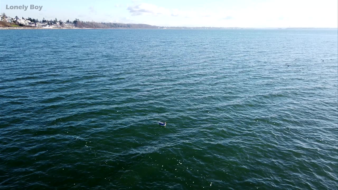 White Rock Pier Walk On A Sunny Day - Vancouver, BC