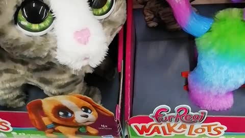 Funny toy cat