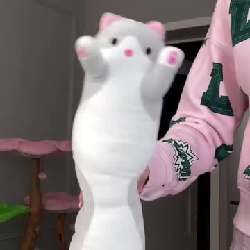 New funny video cats