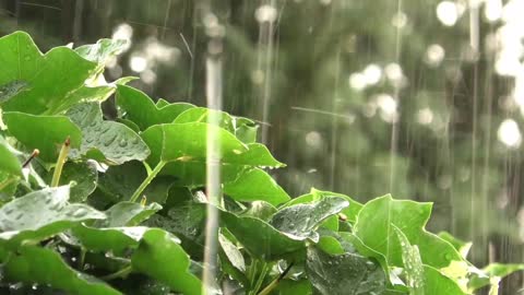 Som de chuva para relaxar e ajudar Bebês a dormir