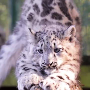 SPIRITUAL EXPERIENCES: REAL OR COUNTERFEIT? - DAILY DEVOTIONAL ❤️