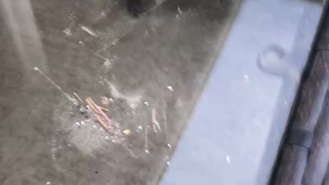 Magnetic Particles After Rain - Graphene Oxide?