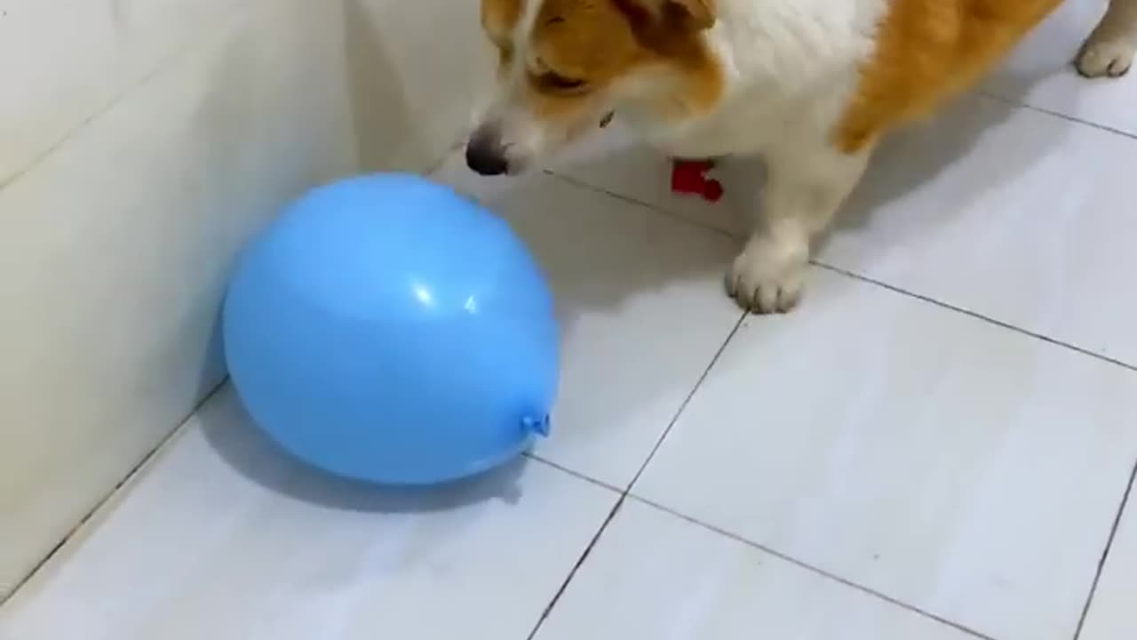 Cute 🥰