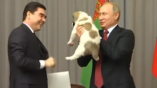 Mr. Putin loves to collect his pet dogs, he is a dog lover #russia #putin #dogs #fyp #fypシ #viral