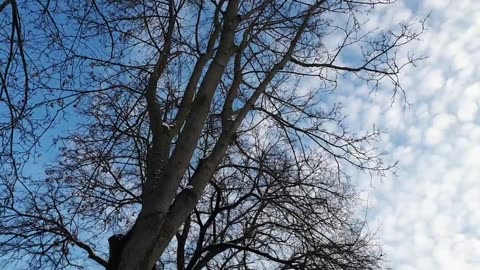 Himmel in Berlin am 30.11.2023 um 14:26 Uhr