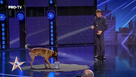 DOG! TALENTED Câinele care a uimit toata sala | Romania's Got Talent