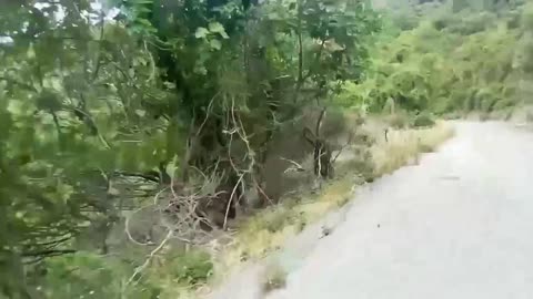 ΠΑΜΕ ΜΙΑ ΒΟΛΤΑ?