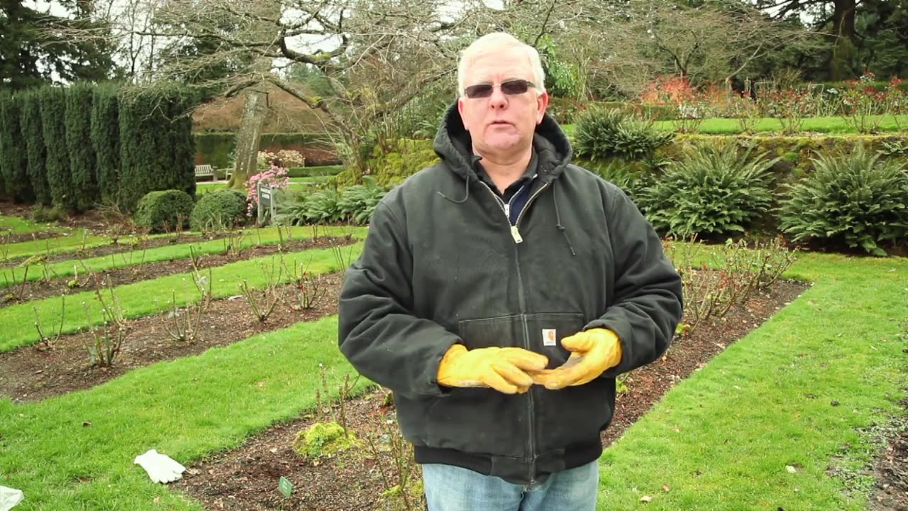 Portland Parks & Recreation Gardening Tips with Harry Landers