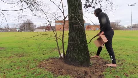 Dude tries his best to catch bunny rabbit, hilariously fails