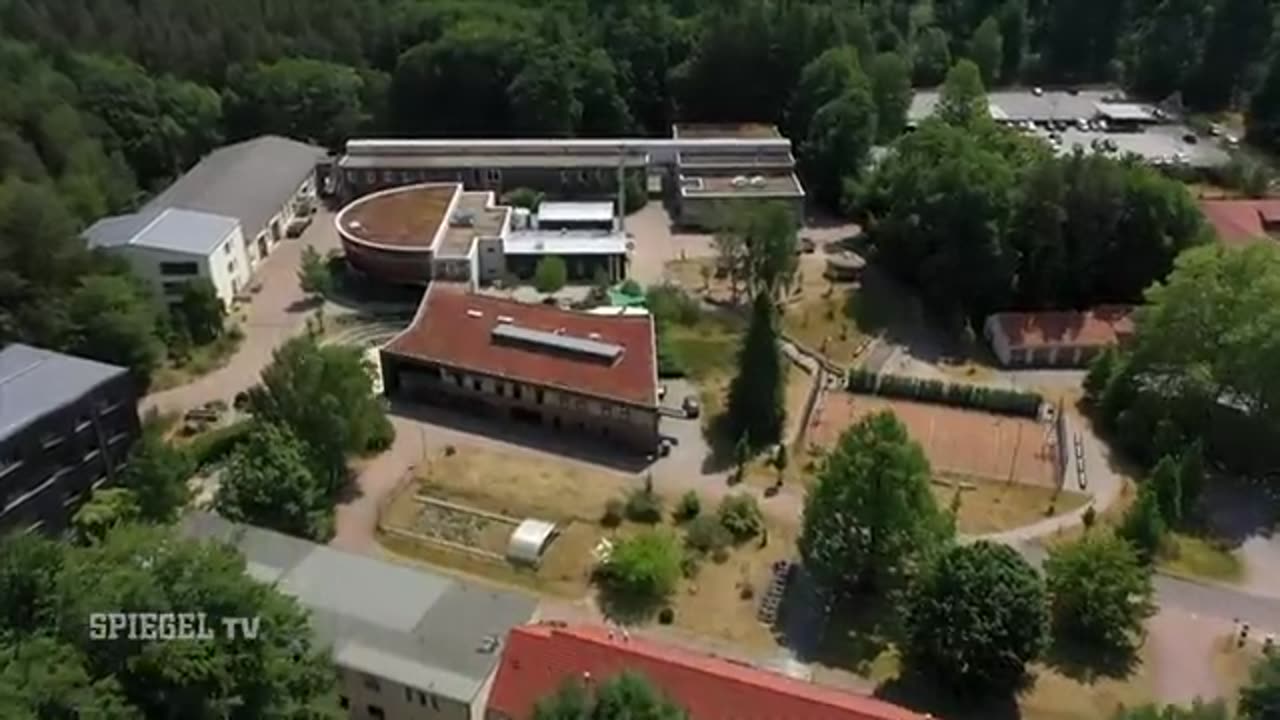 Windräder statt Bäume - Spiegel TV