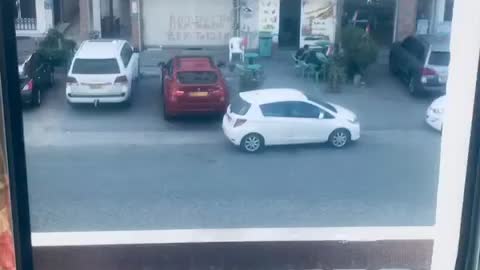 When the dog see the cats
