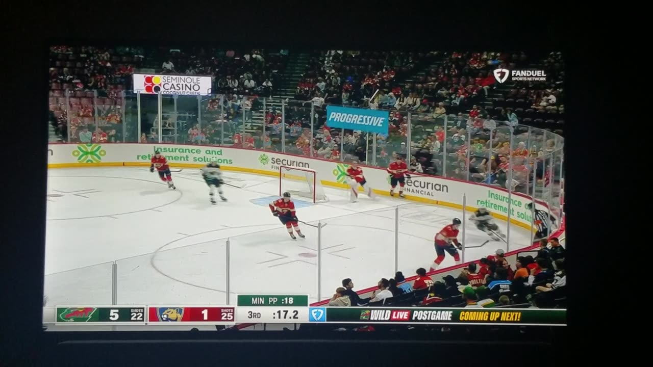 MIN vs FLA - Wild Win 5-1
