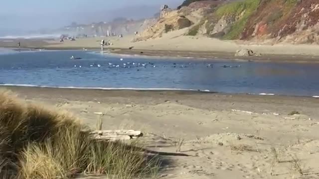 Guy on surfboard in a calm lake