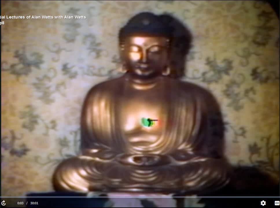 Alan Watts - The Essential Lectures - Death - 8