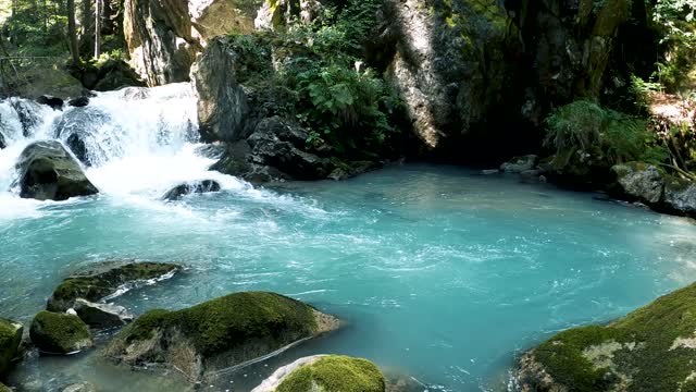 Beautiful Forest Waterfall