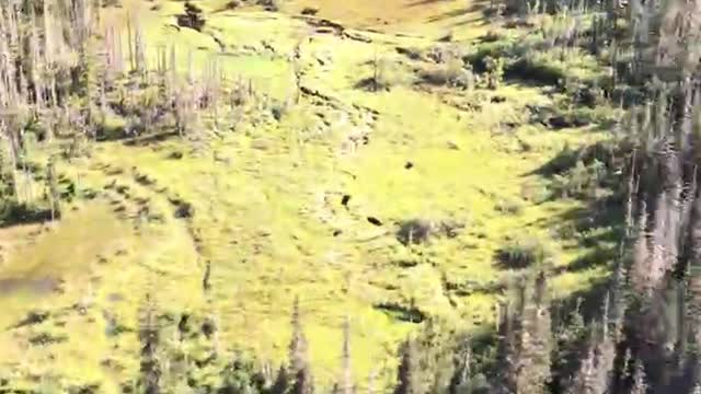 Helicopter above British Columbia Wilderness