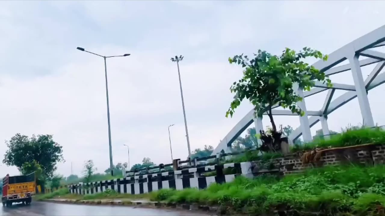 nature