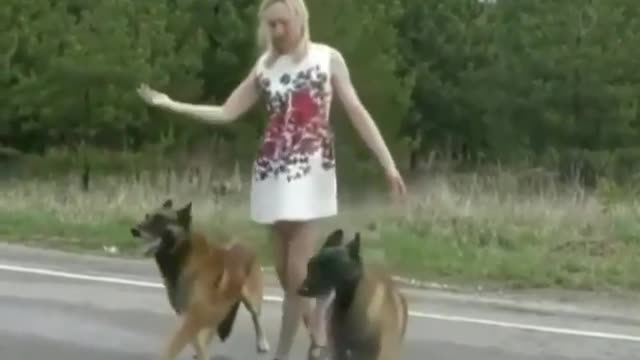 The Dogs Dancing with the Lady. || Dogs trainers