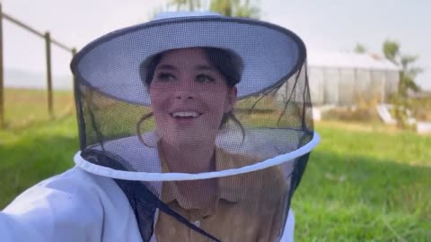 Huge honey bee swarm on the homestead