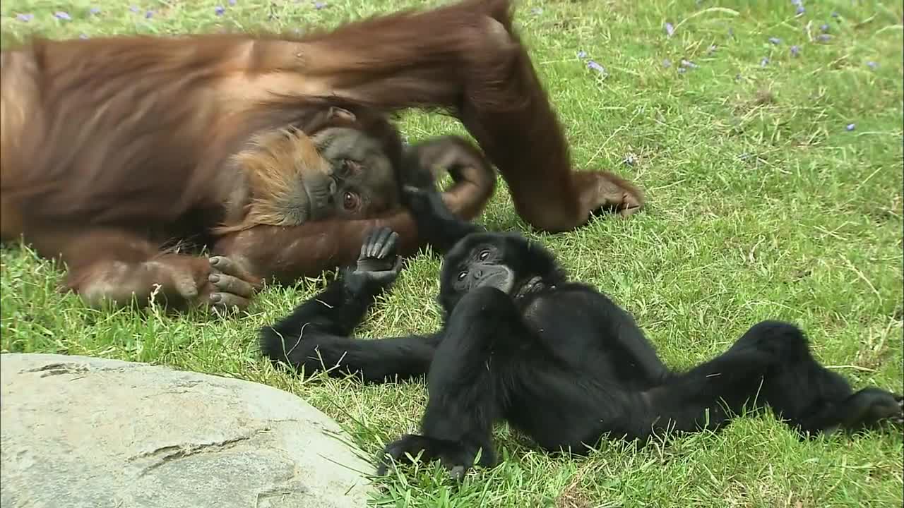 make refresh your selfe