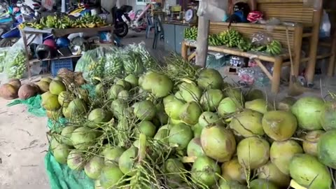 Coconuts Are Not Vegan
