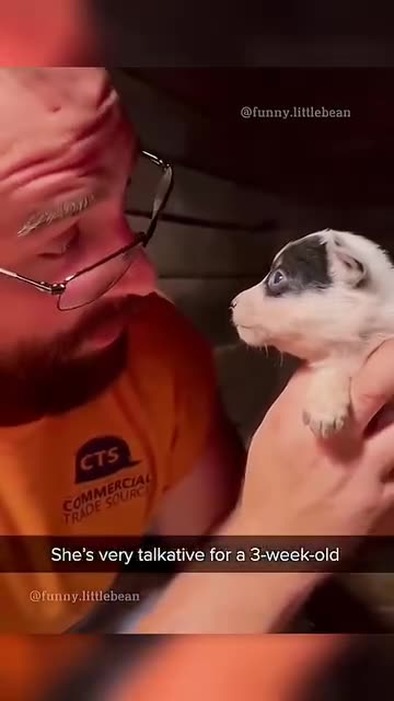 🤣🤣🤣❤❤❤