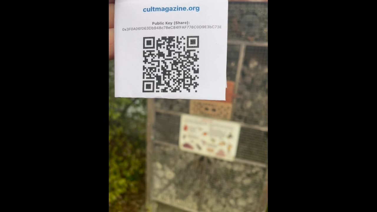 Freedom Cash Geocaching Paper Wallet - рядом с динозаврами