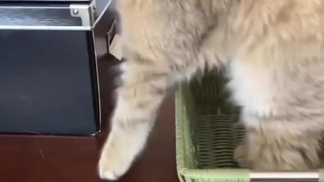 This is why I always choose the aisle seat!!!😂😂😂