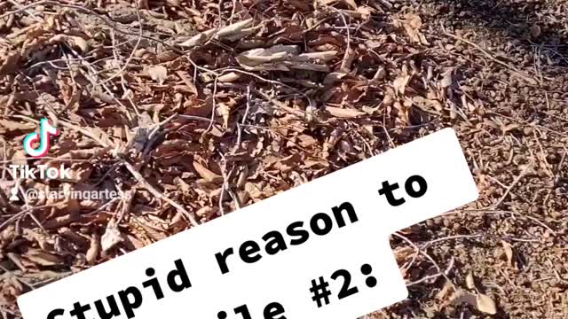 Stupid reason to smile #2