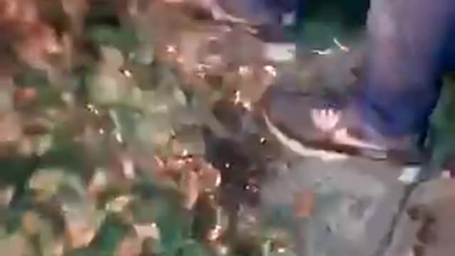 Nsfw guy steps on small fire near grass