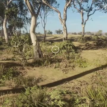 Attack of the Kangaroo Hunter Call of the Wild